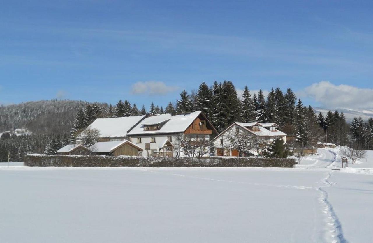 Villa Der Bauernhof Beim Bergler Neureichenau Exterior foto